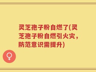 灵芝孢子粉自燃了(灵芝孢子粉自燃引火灾，防范意识需提升)
