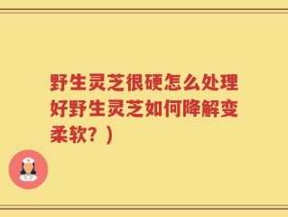 野生灵芝很硬怎么处理好野生灵芝如何降解变柔软？)