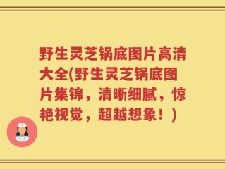 野生灵芝锅底图片高清大全(野生灵芝锅底图片集锦，清晰细腻，惊艳视觉，超越想象！)