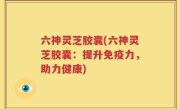 六神灵芝胶囊(六神灵芝胶囊：提升免疫力，助力健康)