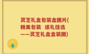 灵芝礼盒包装盒图片(精美包装 送礼佳选——灵芝礼盒盒装图)