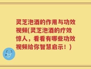 灵芝泡酒的作用与功效视频(灵芝泡酒的疗效惊人，看看有哪些功效视频给你智慧启示！)