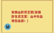 安徽山野灵芝菜(安徽野生灵芝菜：山中珍品等你品尝！)
