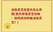 活体灵芝在室内怎么养殖(室内养殖灵芝攻略：如何成功种植活体灵芝？)