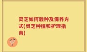 灵芝如何栽种及保养方式(灵芝种植和护理指南)