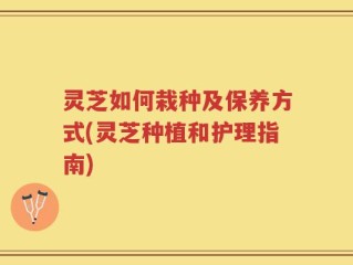 灵芝如何栽种及保养方式(灵芝种植和护理指南)