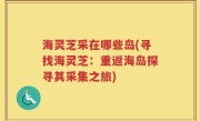 海灵芝采在哪些岛(寻找海灵芝：重返海岛探寻其采集之旅)
