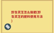 野生灵芝怎么施肥(野生灵芝的肥料使用方法)
