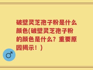 破壁灵芝孢子粉是什么颜色(破壁灵芝孢子粉的颜色是什么？重要原因揭示！)