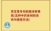 灵芝麦冬石斛西洋参黄芪(五种中药食材的功效与使用方法)