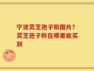 宁波灵芝孢子粉图片？灵芝孢子粉在哪里能买到