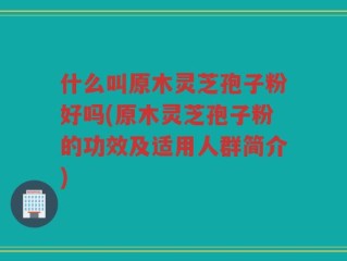 什么叫原木灵芝孢子粉好吗(原木灵芝孢子粉的功效及适用人群简介)