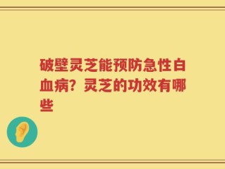 破壁灵芝能预防急性白血病？灵芝的功效有哪些