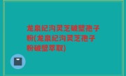 龙泉纪沟灵芝破壁孢子粉(龙泉纪沟灵芝孢子粉破壁萃取)