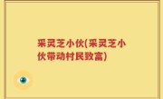 采灵芝小伙(采灵芝小伙带动村民致富)