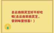 去云南摘灵芝好不好吃呢(去云南采摘灵芝，尝到味蕾惊喜！)
