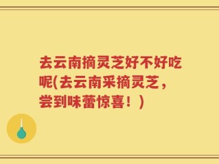 去云南摘灵芝好不好吃呢(去云南采摘灵芝，尝到味蕾惊喜！)
