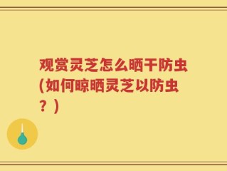 观赏灵芝怎么晒干防虫(如何晾晒灵芝以防虫？)
