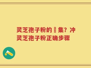 灵芝孢子粉的採集？冲灵芝孢子粉正确步骤