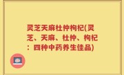 灵芝天麻杜仲枸杞(灵芝、天麻、杜仲、枸杞：四种中药养生佳品)