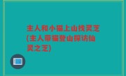 主人和小猫上山找灵芝(主人带猫登山探访仙灵之芝)