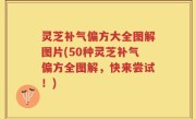 灵芝补气偏方大全图解图片(50种灵芝补气偏方全图解，快来尝试！)