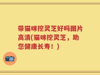 带猫咪挖灵芝好吗图片高清(猫咪挖灵芝，助您健康长寿！)