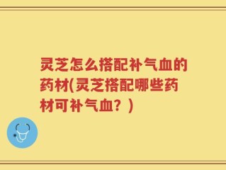 灵芝怎么搭配补气血的药材(灵芝搭配哪些药材可补气血？)