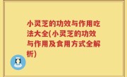 小灵芝的功效与作用吃法大全(小灵芝的功效与作用及食用方式全解析)