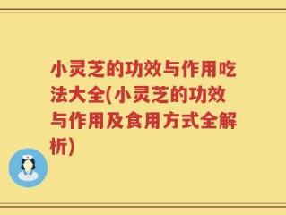 小灵芝的功效与作用吃法大全(小灵芝的功效与作用及食用方式全解析)