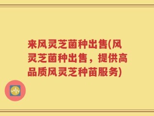 来风灵芝菌种出售(风灵芝菌种出售，提供高品质风灵芝种苗服务)