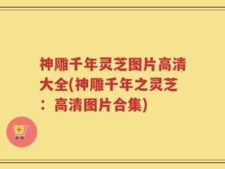 神雕千年灵芝图片高清大全(神雕千年之灵芝：高清图片合集)
