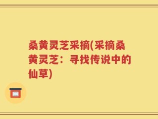 桑黄灵芝采摘(采摘桑黄灵芝：寻找传说中的仙草)