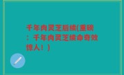 千年肉灵芝后续(重磅：千年肉灵芝续命奇效惊人！)