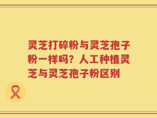 灵芝打碎粉与灵芝孢子粉一样吗？人工种植灵芝与灵芝孢子粉区别