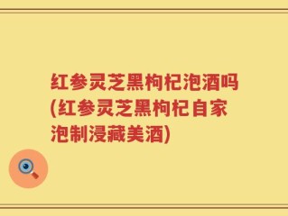 红参灵芝黑枸杞泡酒吗(红参灵芝黑枸杞自家泡制浸藏美酒)