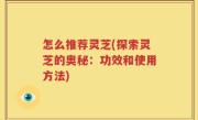 怎么推荐灵芝(探索灵芝的奥秘：功效和使用方法)
