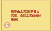 蕲春山上灵芝(蕲春山灵芝：自然之灵的美妙奇迹)