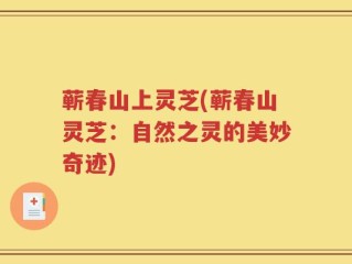 蕲春山上灵芝(蕲春山灵芝：自然之灵的美妙奇迹)