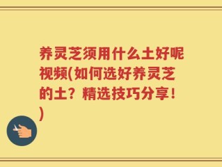 养灵芝须用什么土好呢视频(如何选好养灵芝的土？精选技巧分享！)