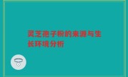 灵芝孢子粉的来源与生长环境分析
