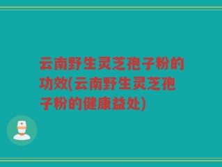 云南野生灵芝孢子粉的功效(云南野生灵芝孢子粉的健康益处)