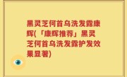 黑灵芝何首乌洗发露康辉(「康辉推荐」黑灵芝何首乌洗发露护发效果显著)