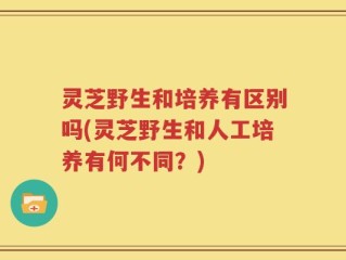 灵芝野生和培养有区别吗(灵芝野生和人工培养有何不同？)