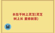 长在干树上灵芝(灵芝 树上长 重修新意)