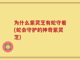 为什么紫灵芝有蛇守着(蛇会守护的神奇紫灵芝)