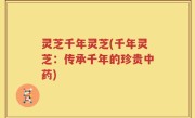 灵芝千年灵芝(千年灵芝：传承千年的珍贵中药)