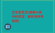 卫生室灵芝(健康小屋中的灵芝：解析其神奇功效)