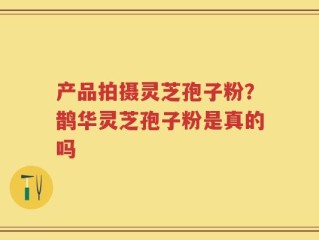 产品拍摄灵芝孢子粉？鹊华灵芝孢子粉是真的吗