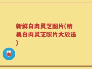 新鲜白肉灵芝图片(精美白肉灵芝照片大放送)